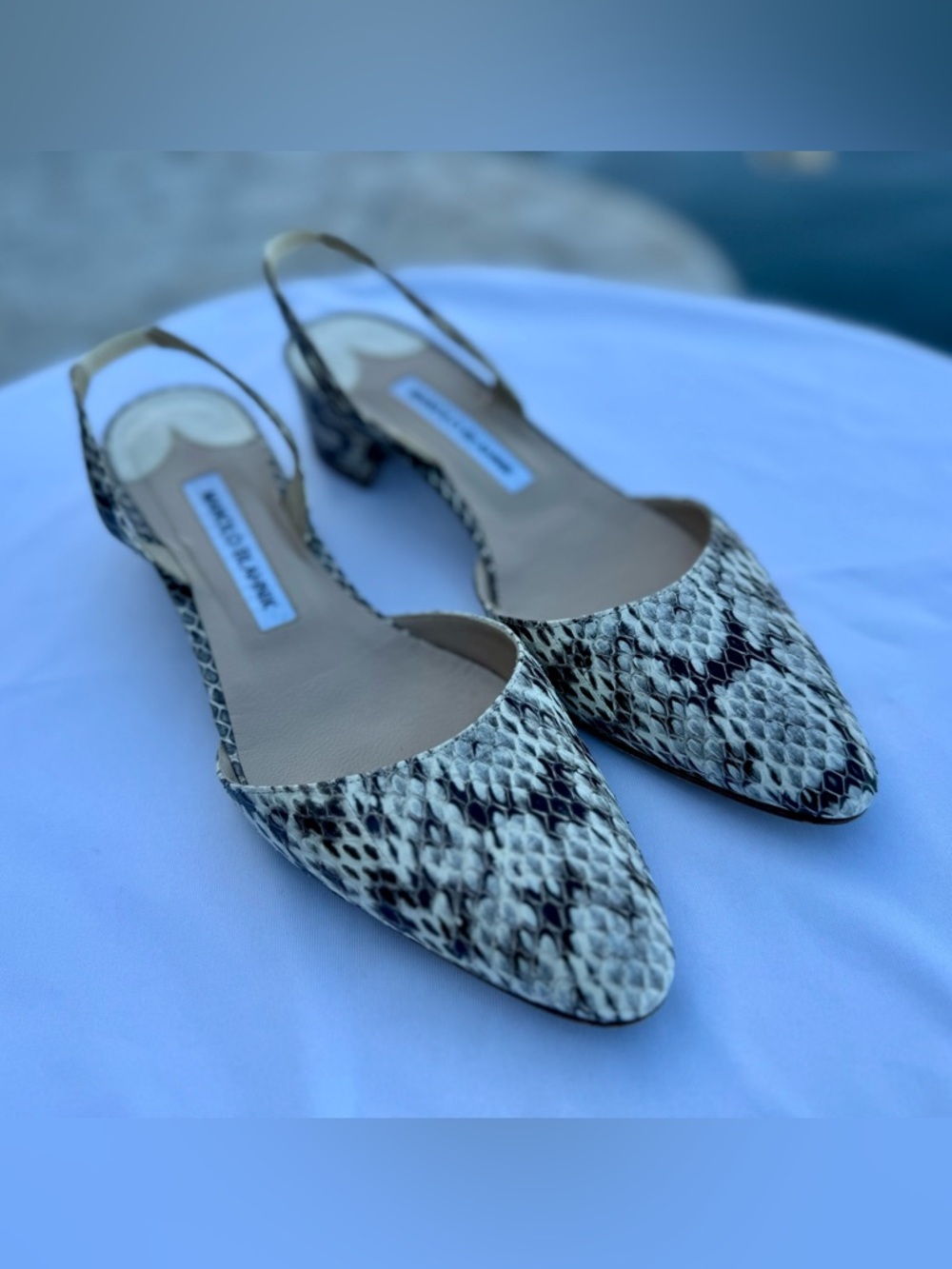 Manolo Blahnik black and white Snake-Print block heel slingbacks - 38
